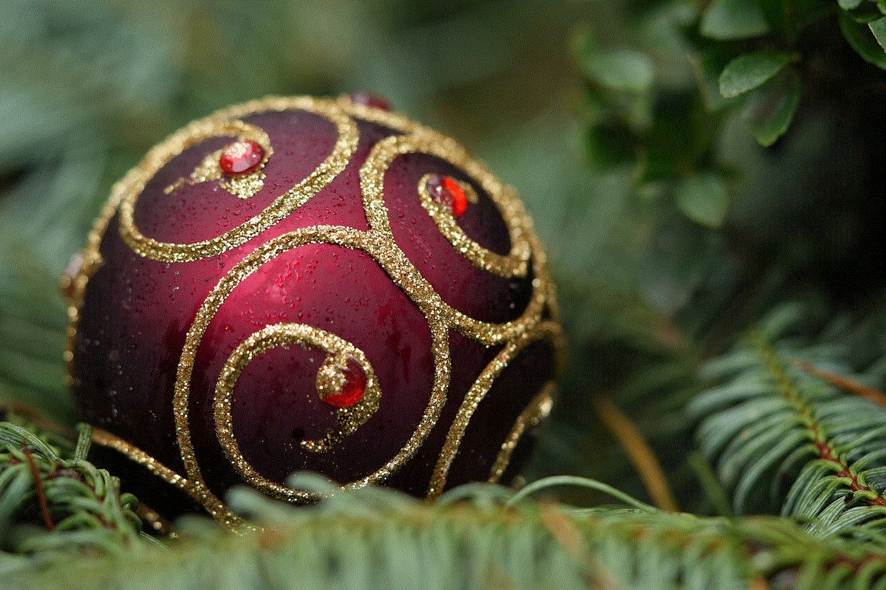 Ornament Christmas