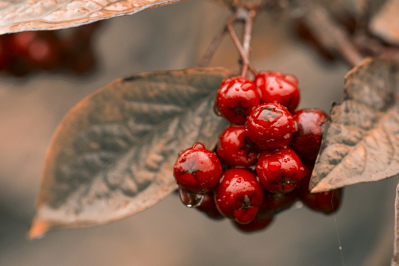 Red Berries