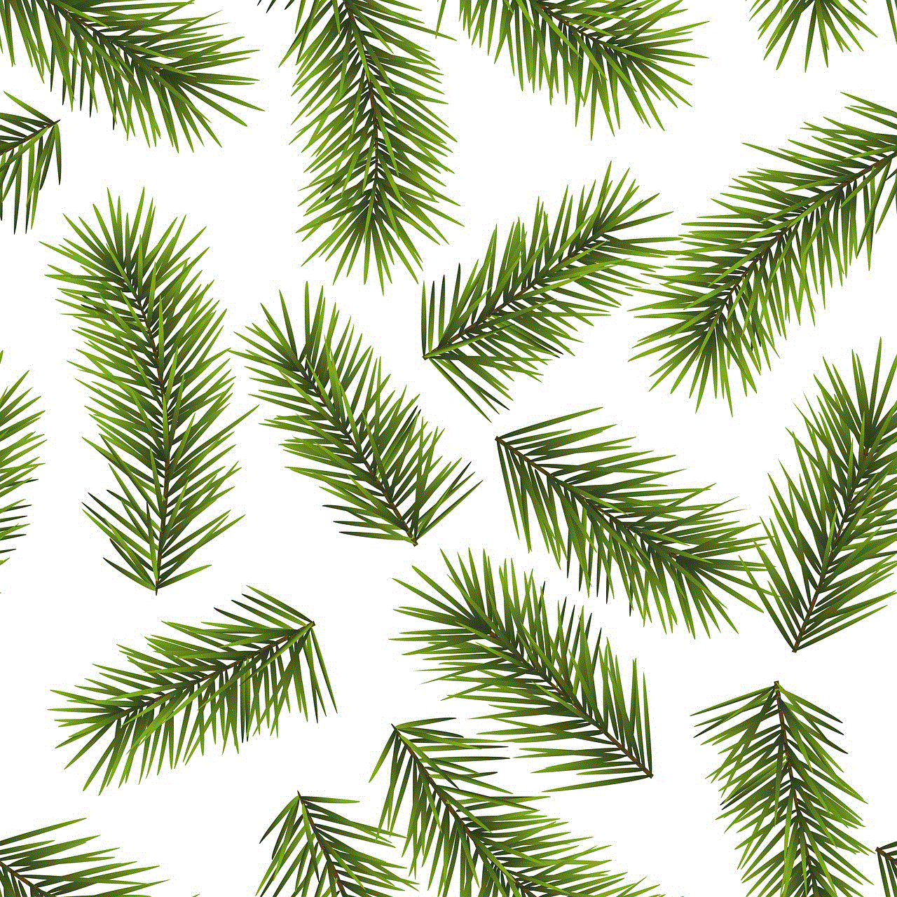 Fir Branch Pattern Fir Branch Pattern