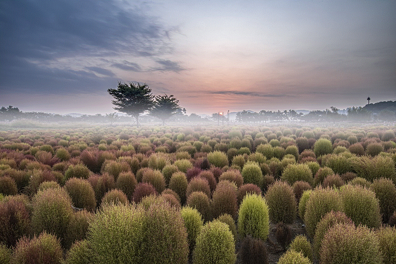 Tree Fog