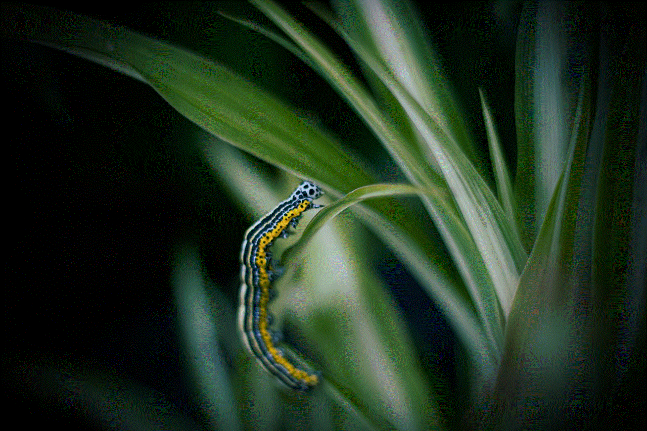 Caterpillar Larva