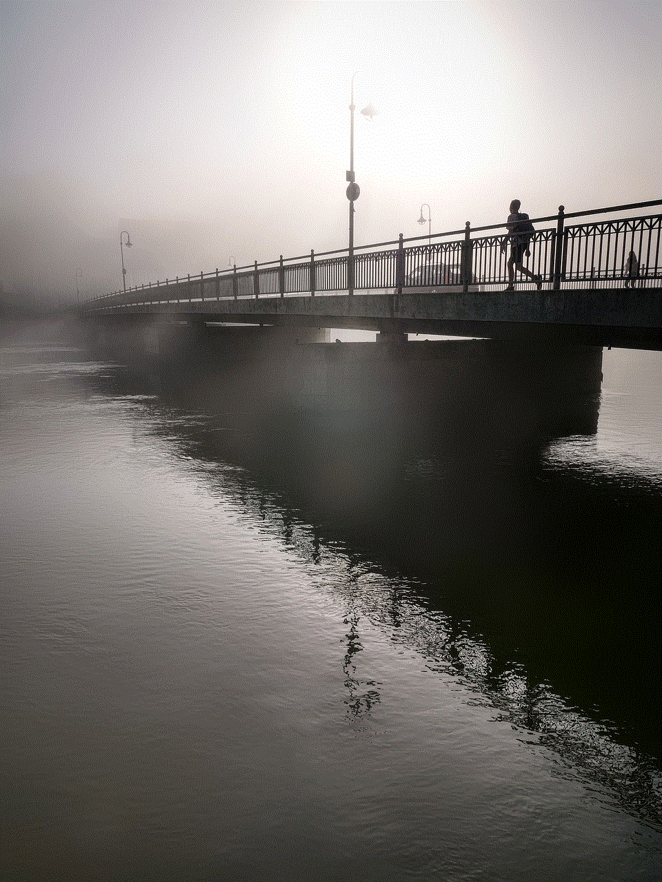Fog Bridge