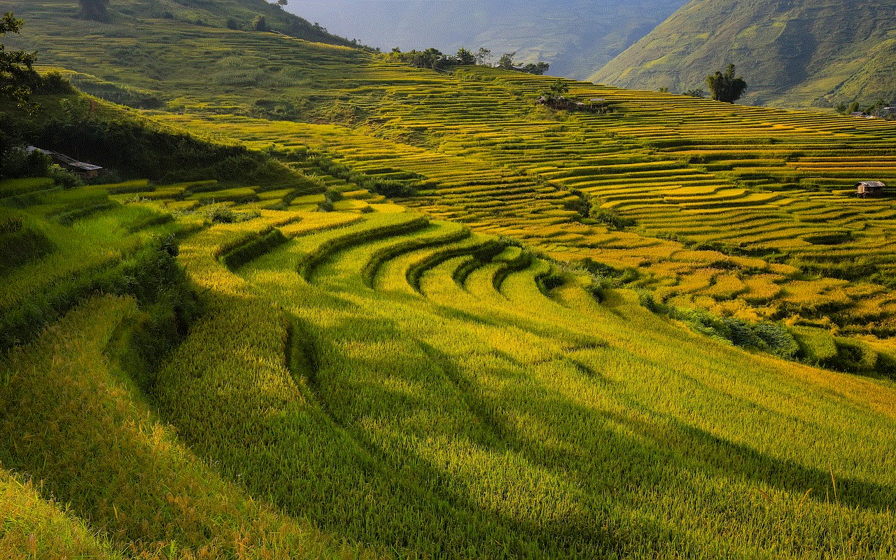 Mountain Field