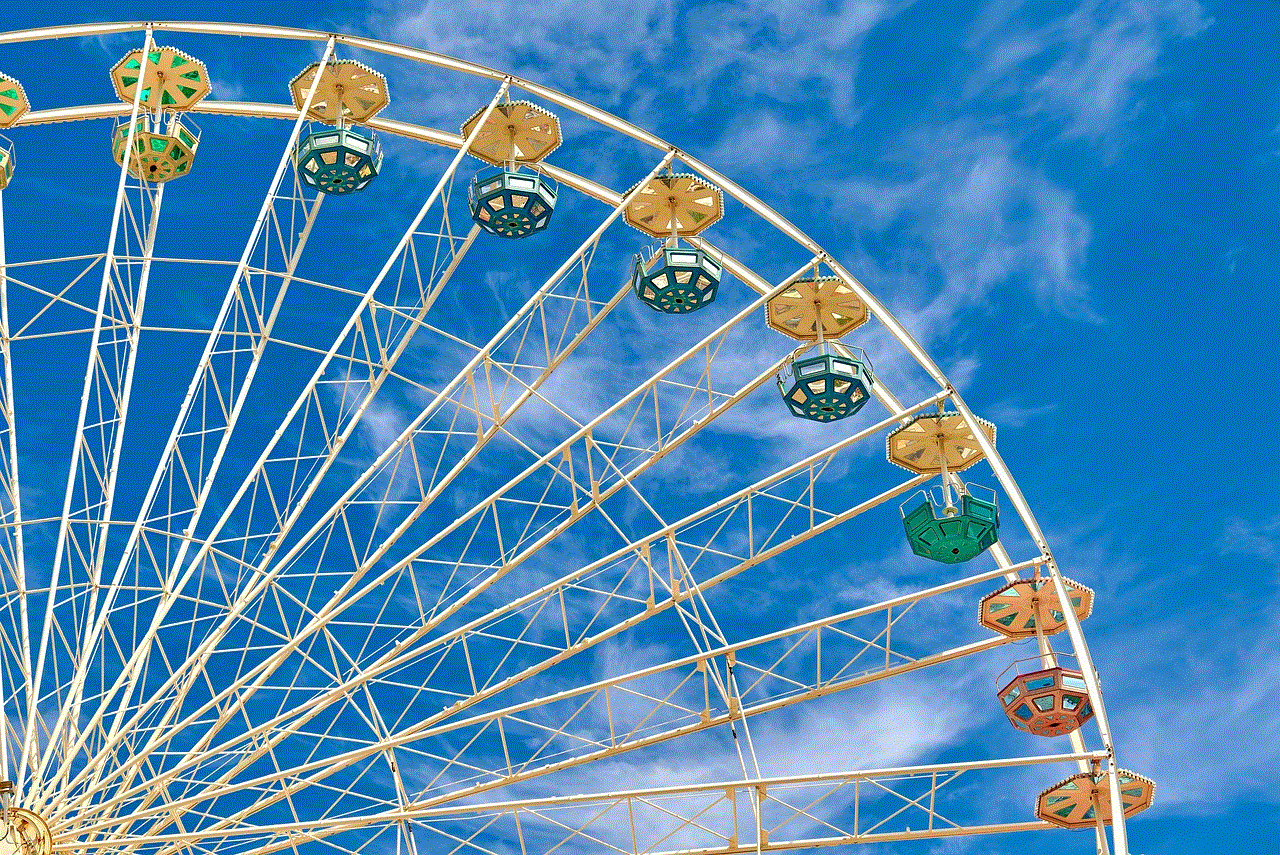 Ferris Wheel Fair