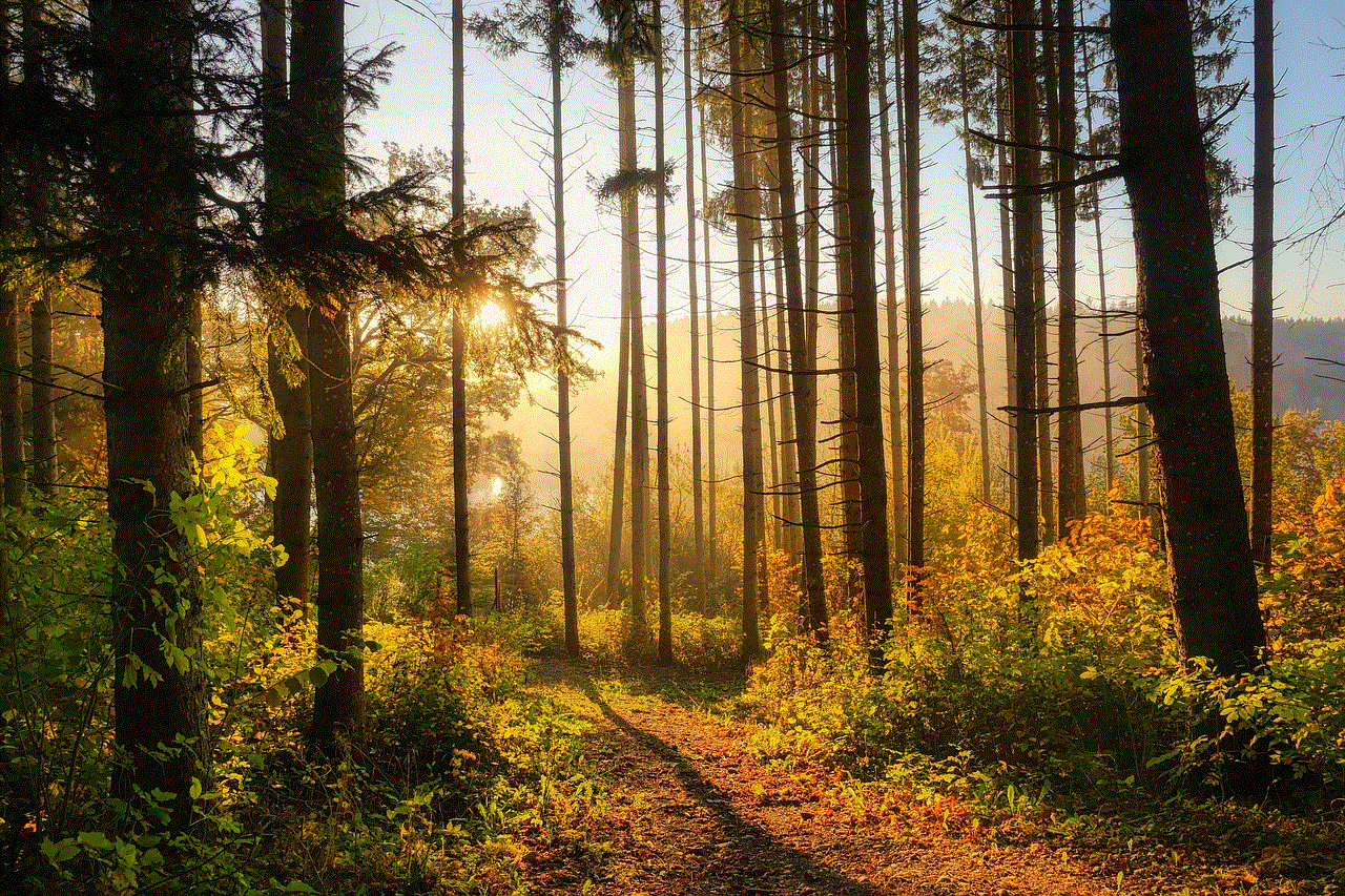 Forest Trees