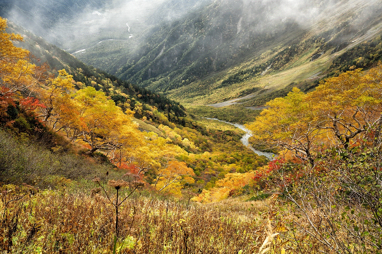 Natural Autumn