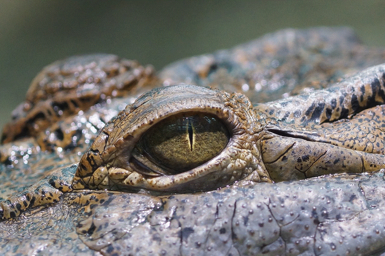 Eye Crocodile