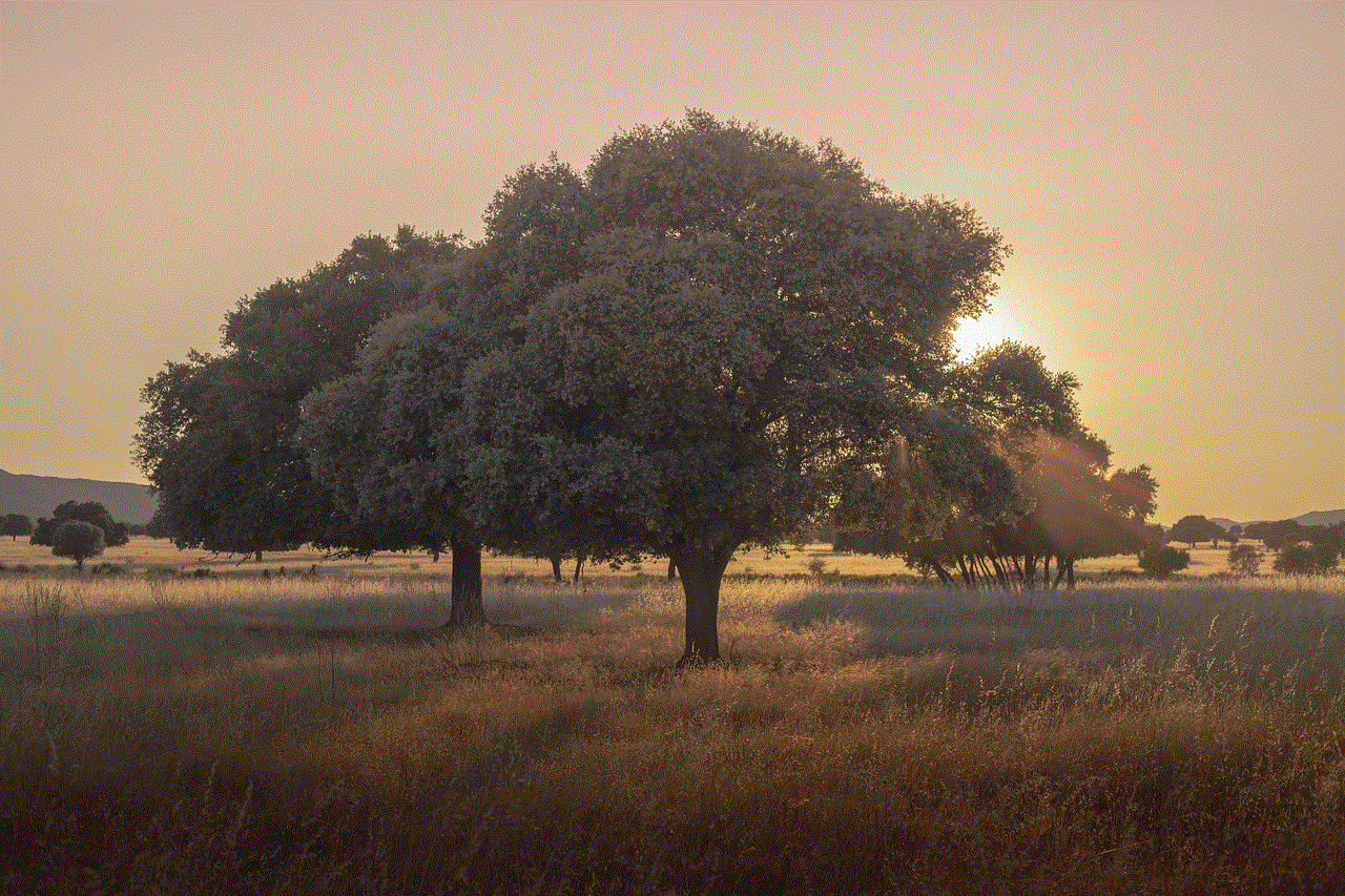 Cabaneros National Park Pasture