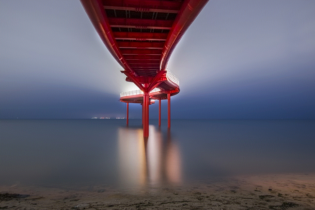 Bridge Ocean