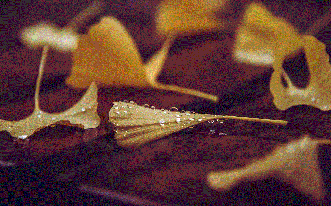 Ginkgo Leaves