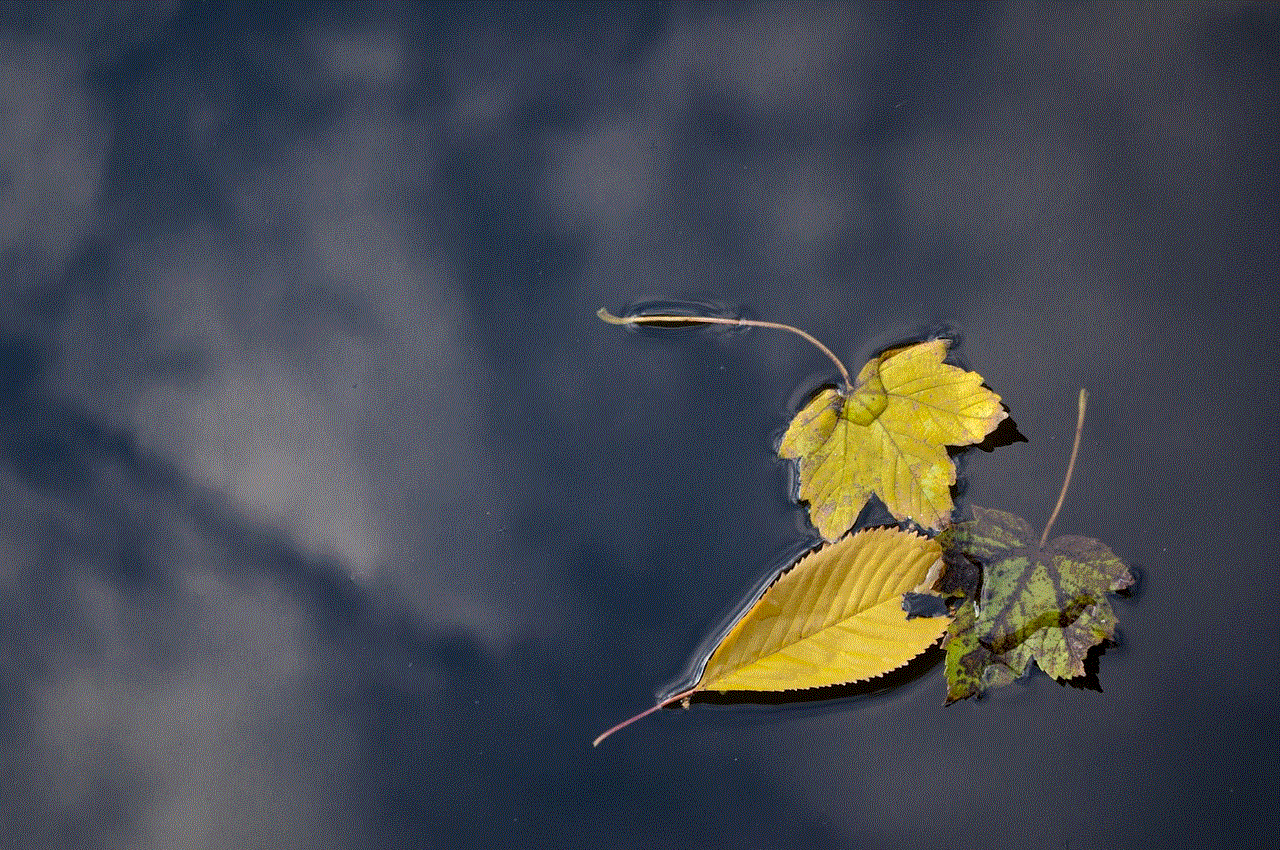 Leaves Autumn