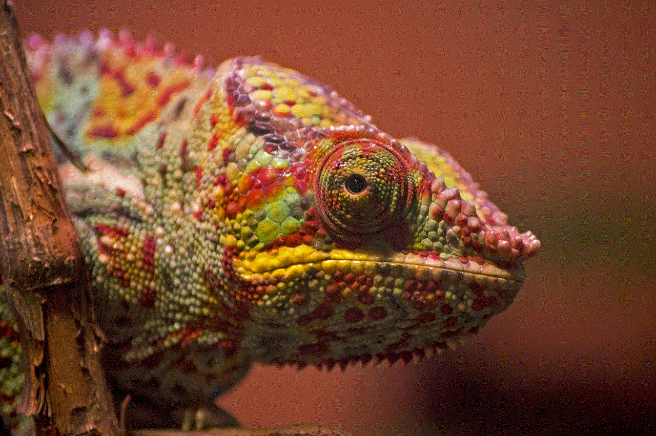 Chameleon Color