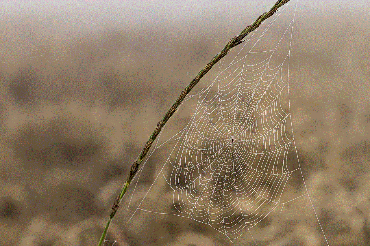 Spiderweb Cobweb