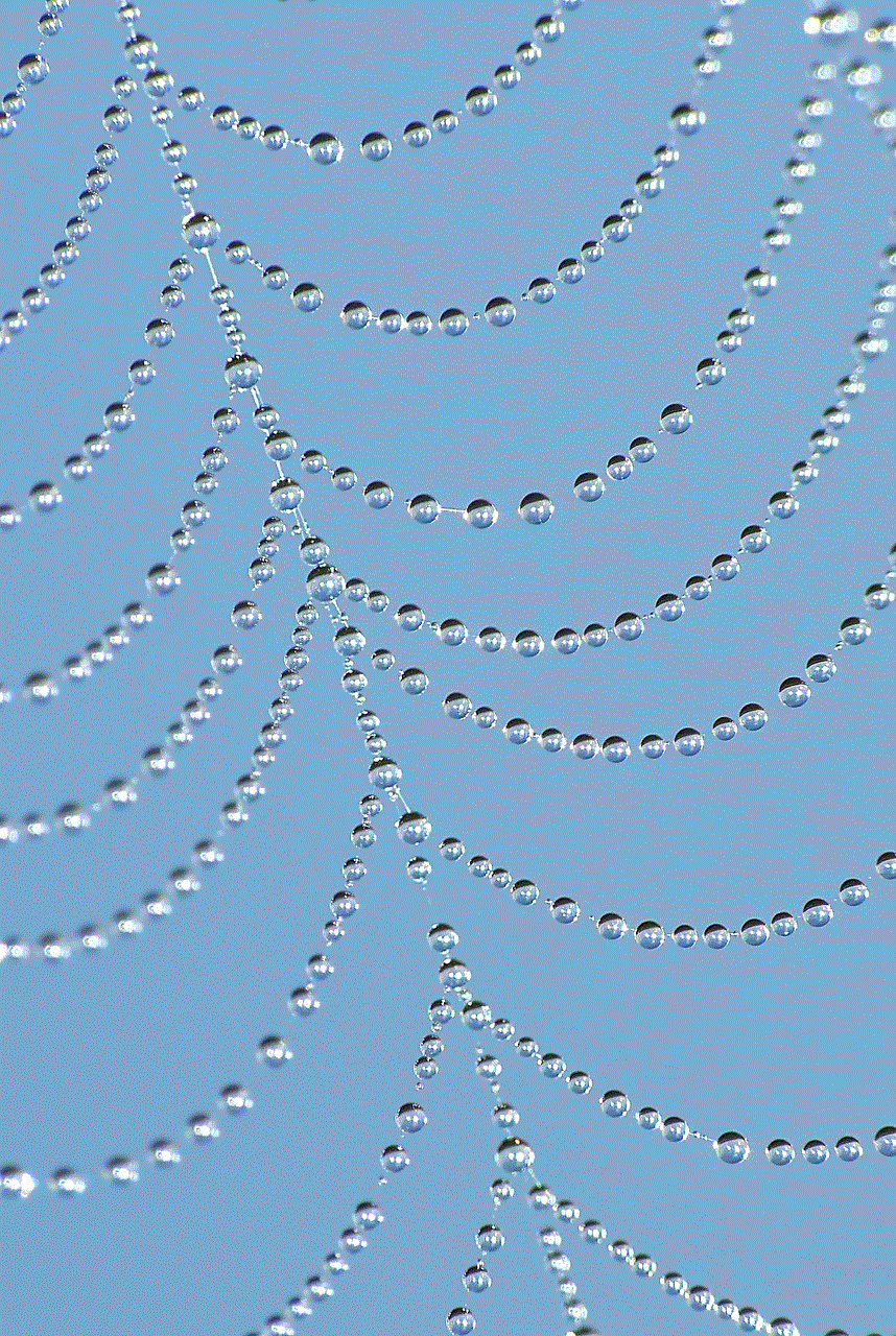 Dewdrops Cobweb