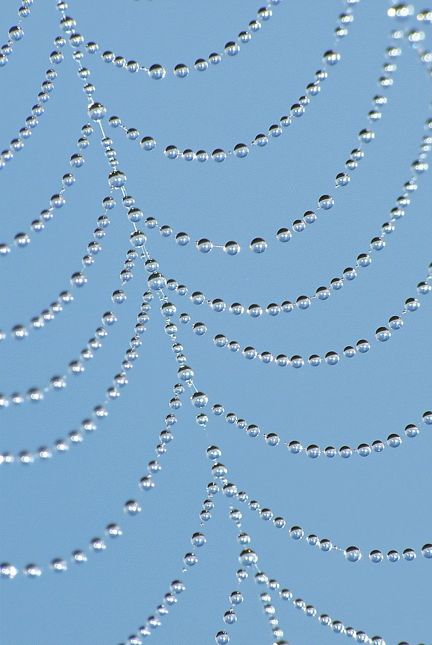 Dewdrops Cobweb Dewdrops Cobweb