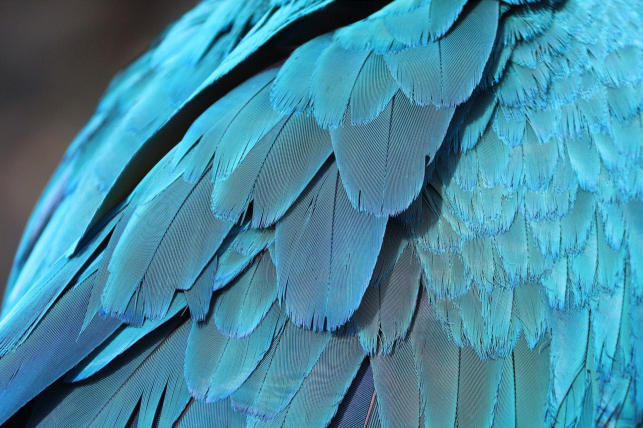 Parrot Feathers Feathers