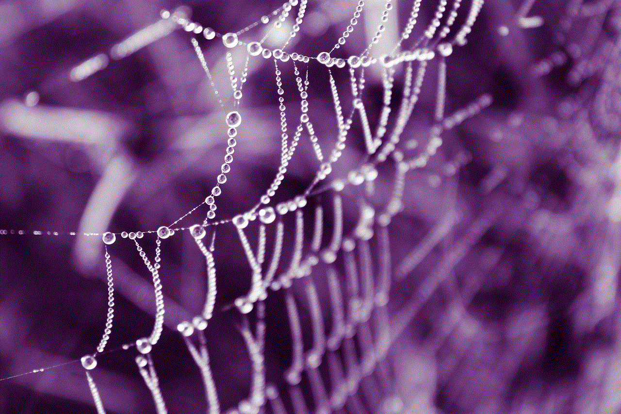 Web Dew