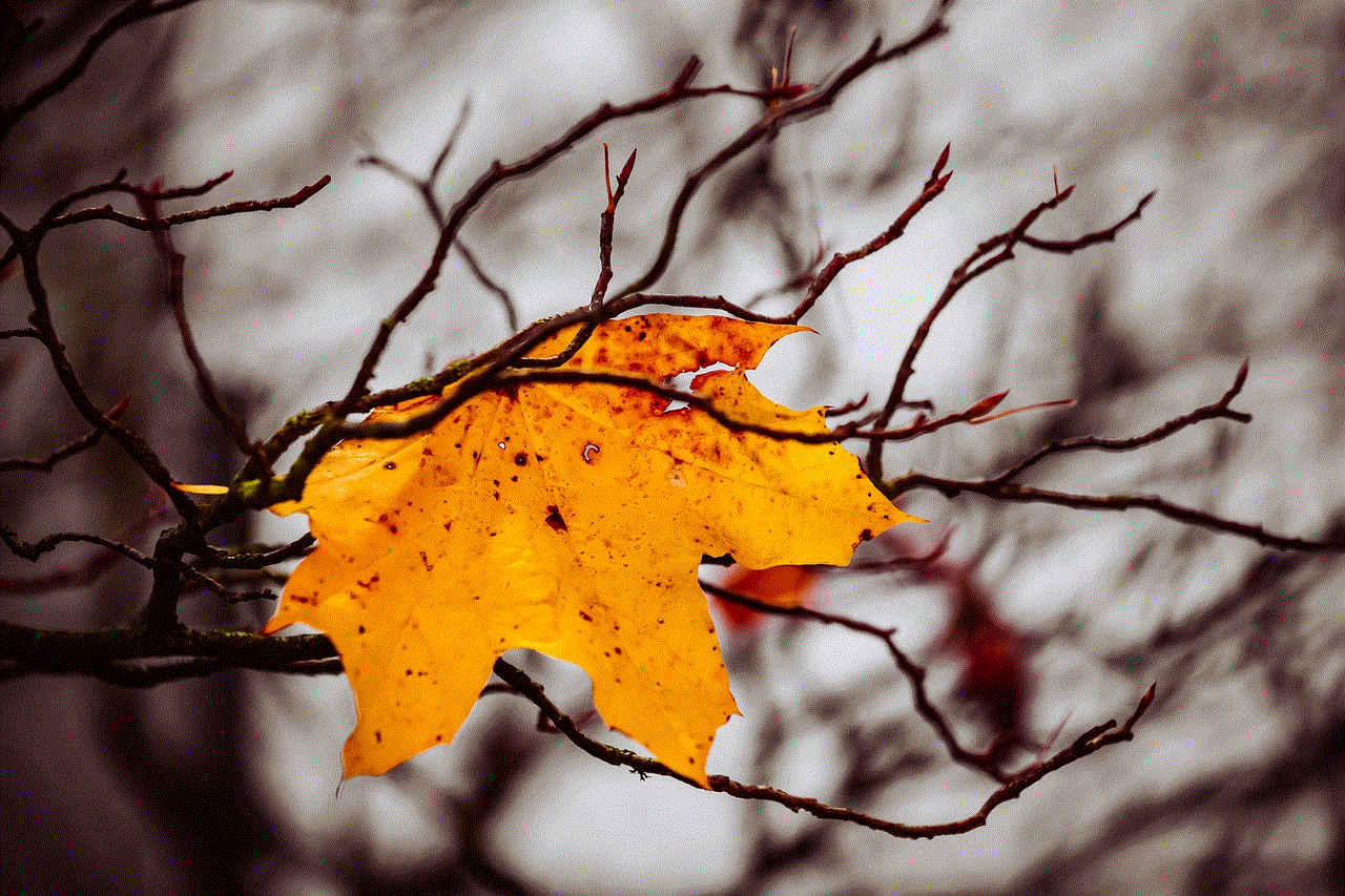 Autumn Leaf