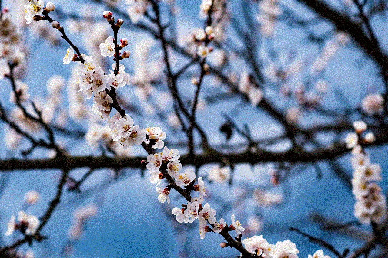 Flowers Branch