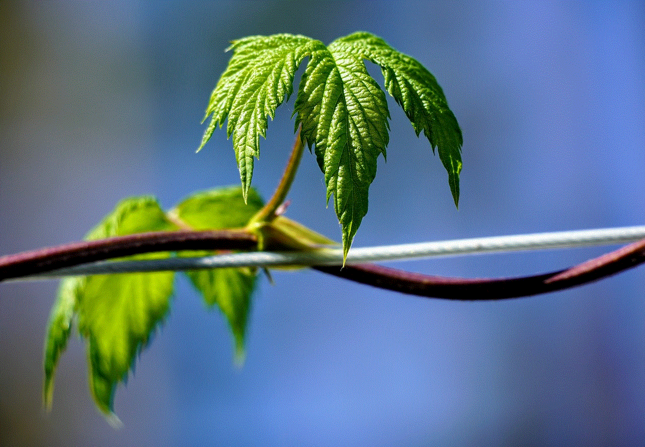 Hop Leaf