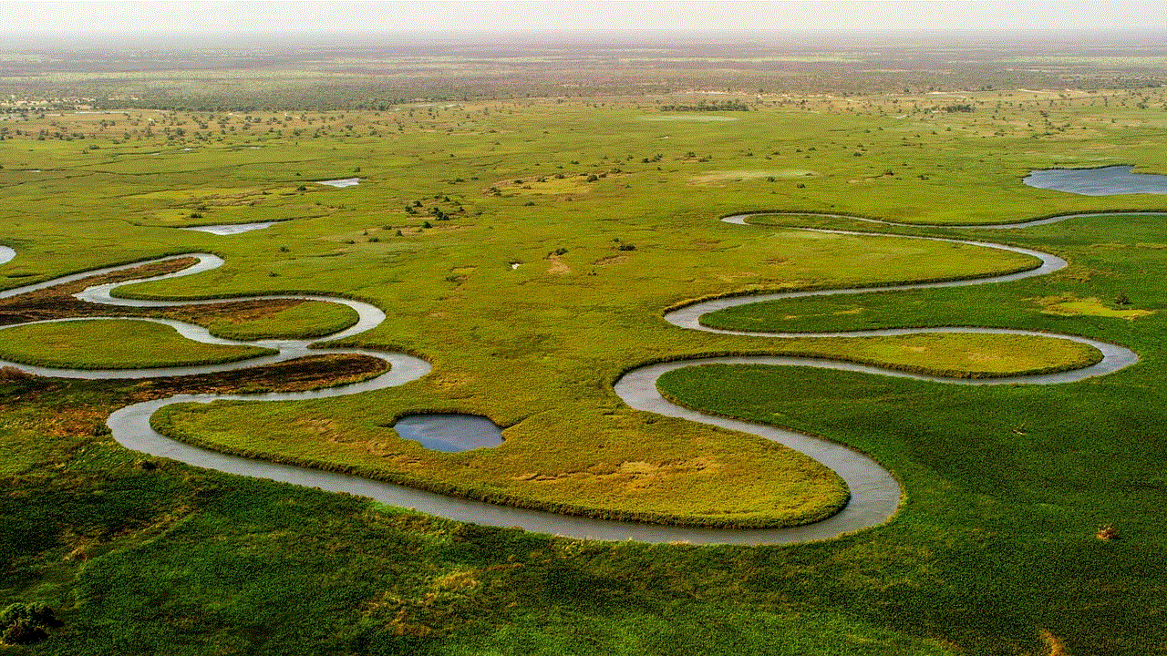 Okavango Delta River
