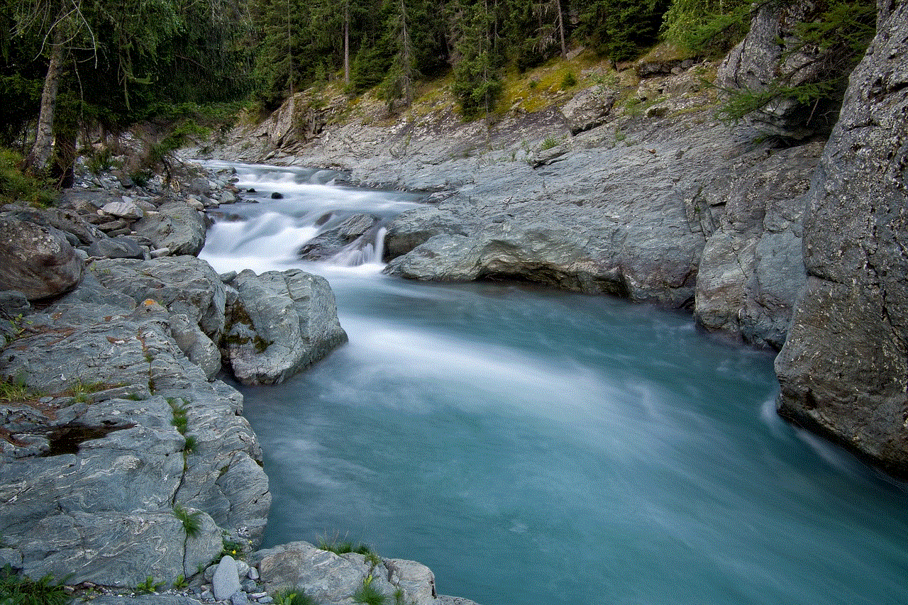 Torrent River