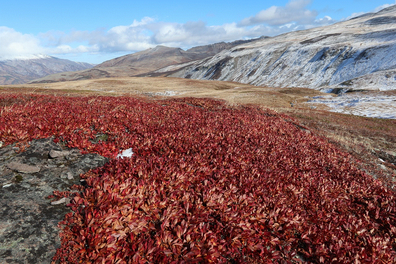 Mountains Autumn