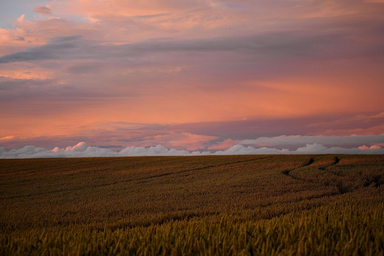 Field Countryside