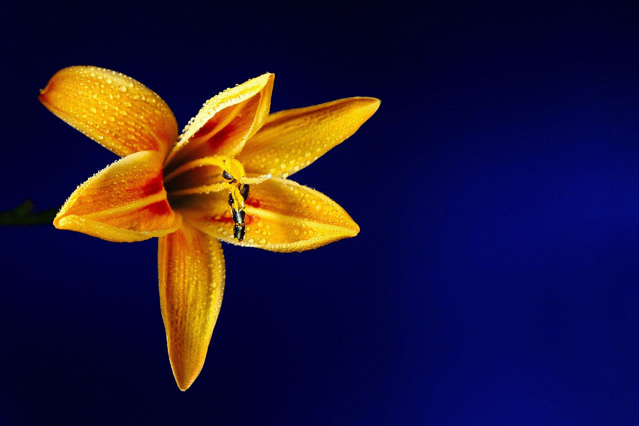 Lily Flower