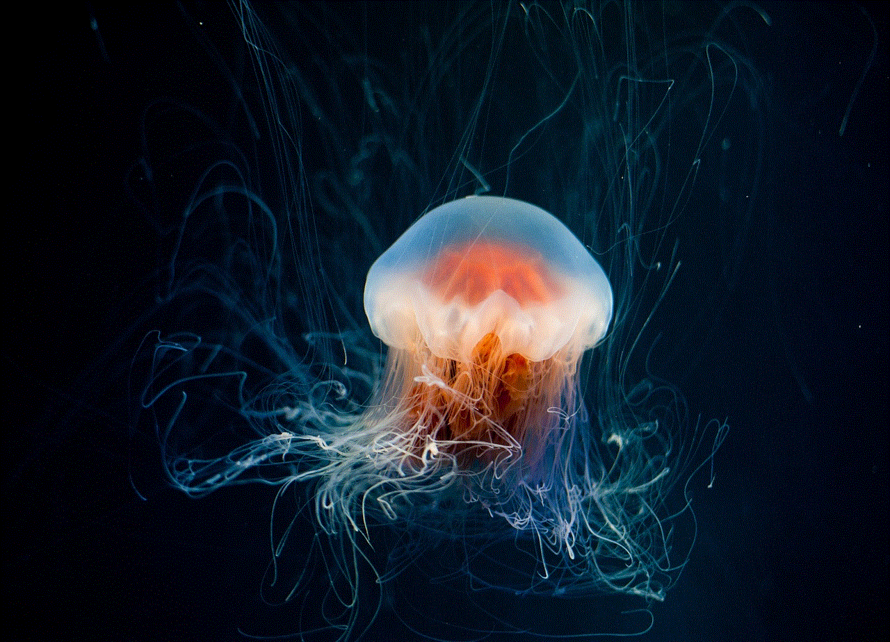 Jellyfish Underwater