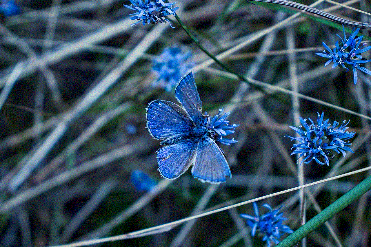 Butterfly Flowers