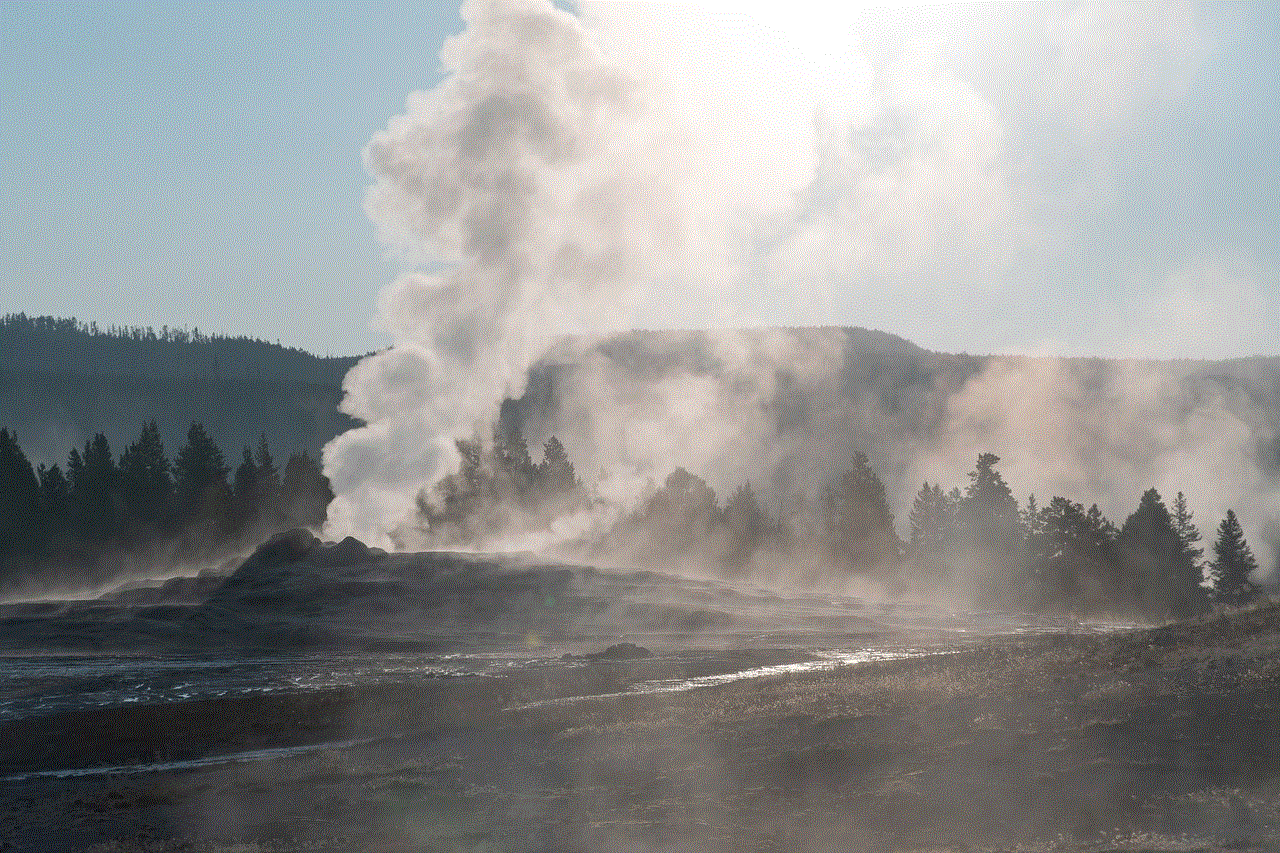 Yellowstone National Park Geyser