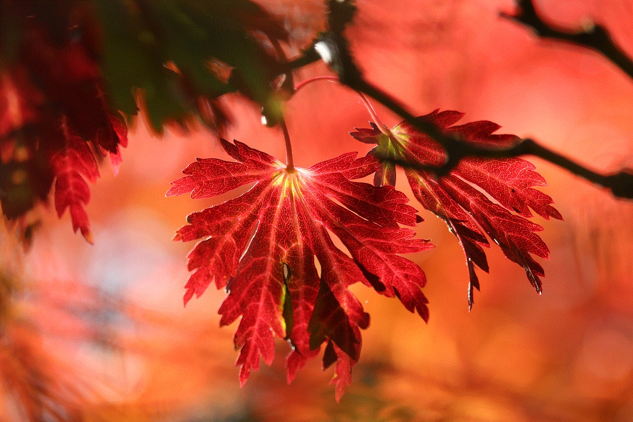 Leaves Tree