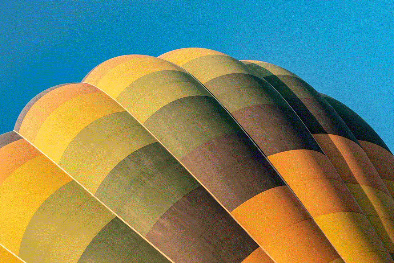 Hot Air Balloon Dawn