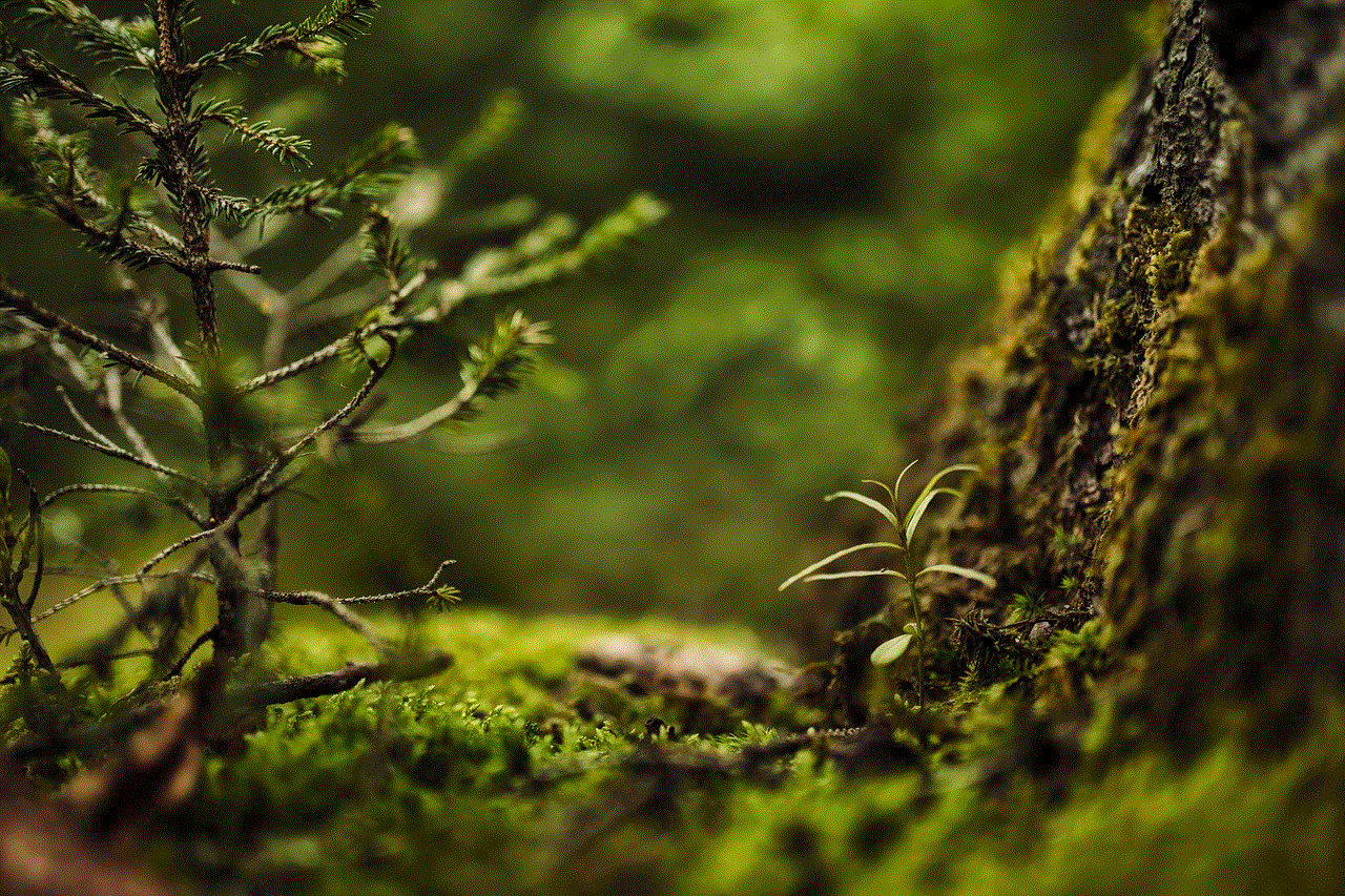 Moss Forest