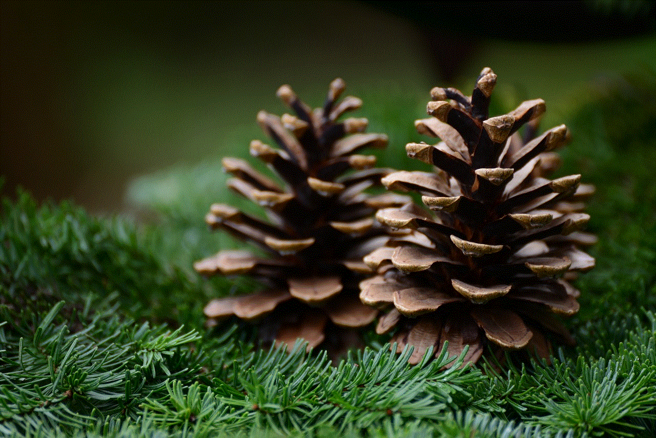 Pine Cone Fir Green