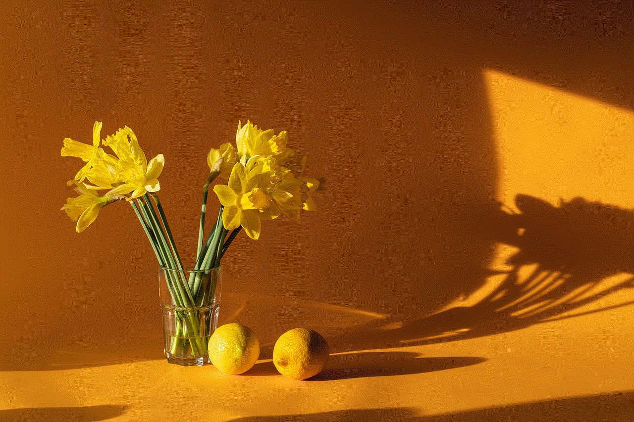 Daffodils Home Decor
