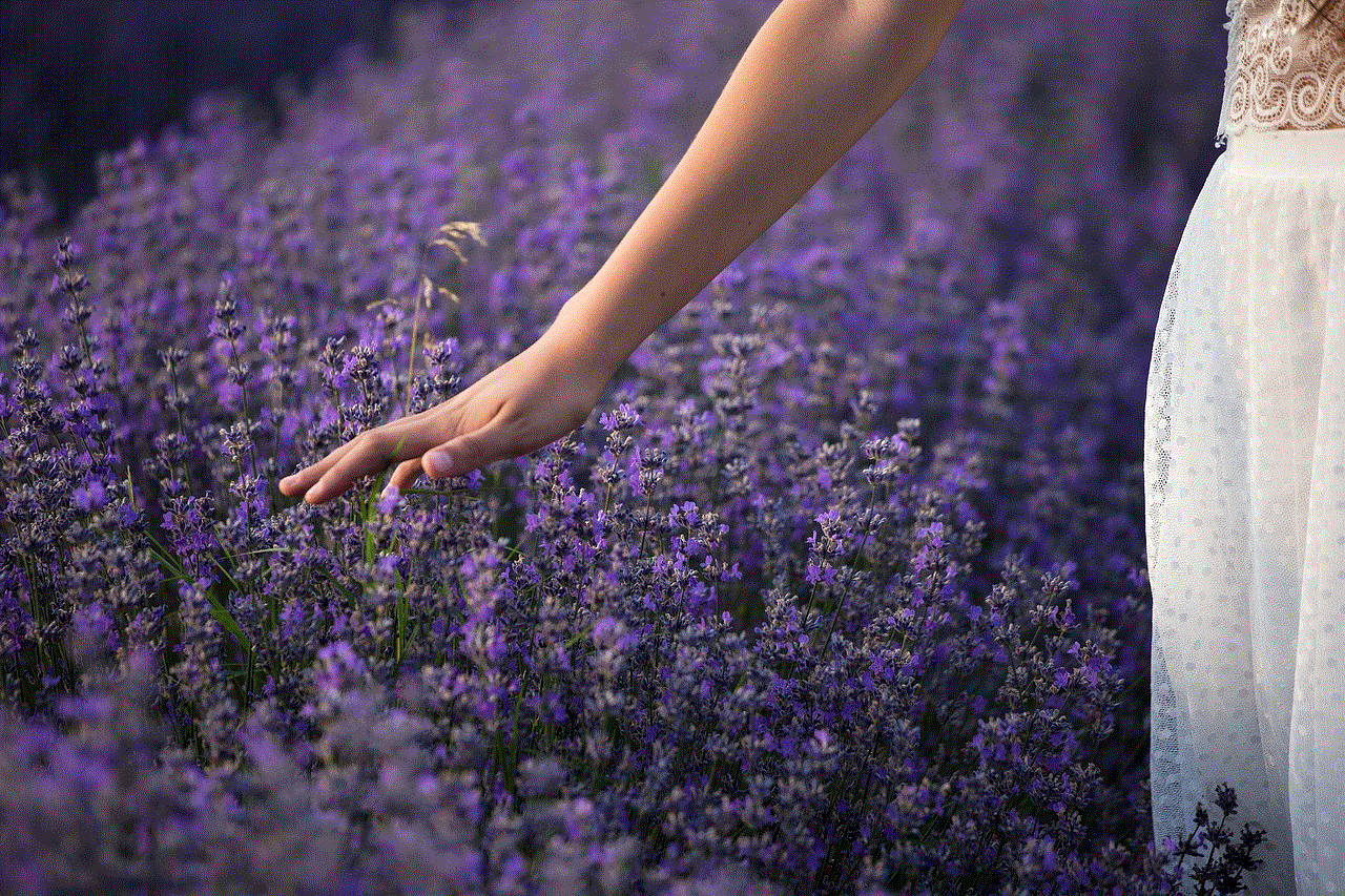 Lavender Nature