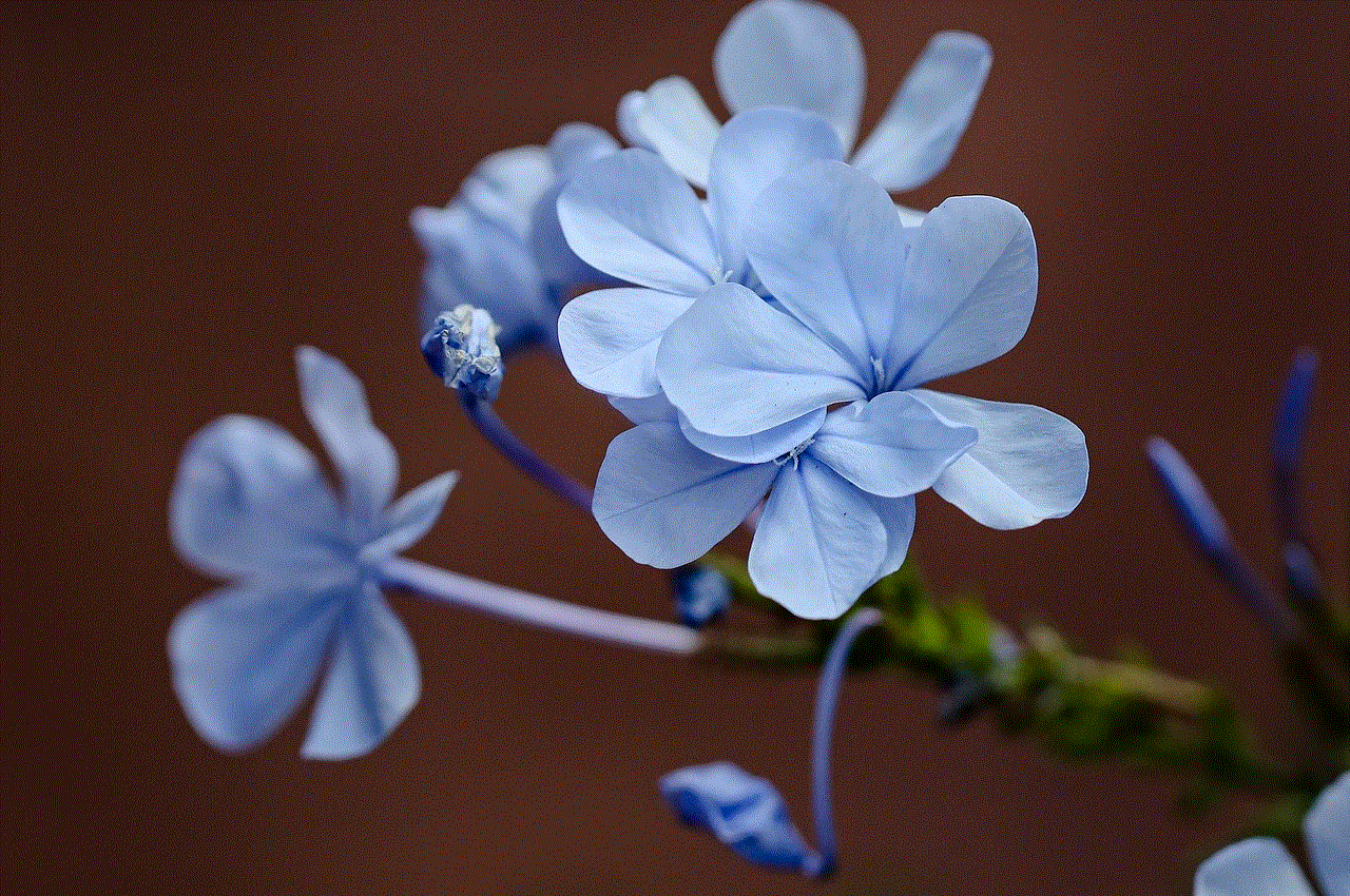 Flower Flower Background