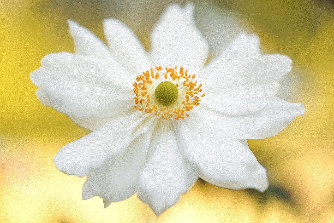 Anemone Flower