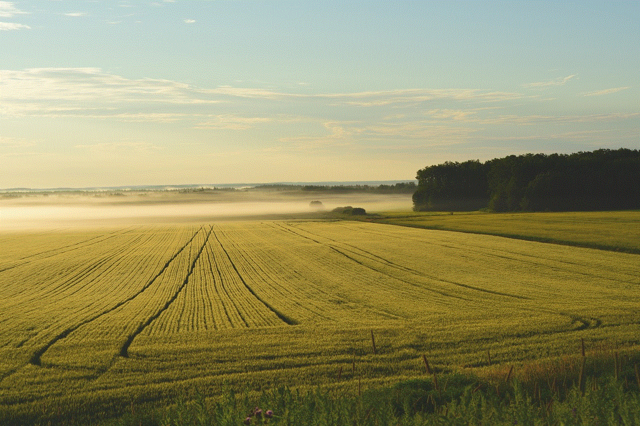 Farm Fog