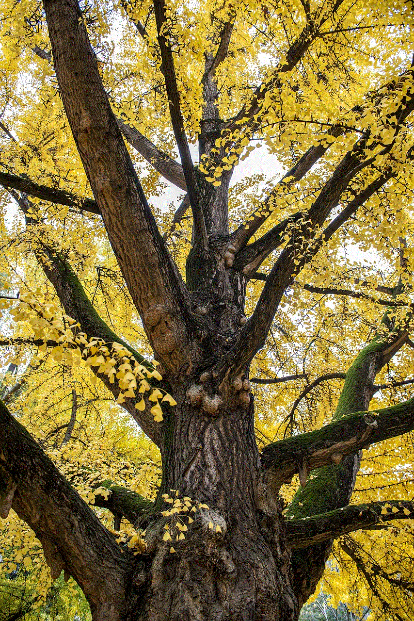 Tree Leaves