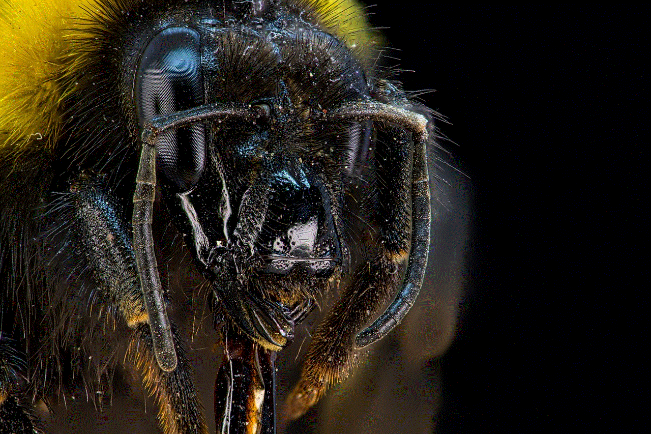 Portrait Bee