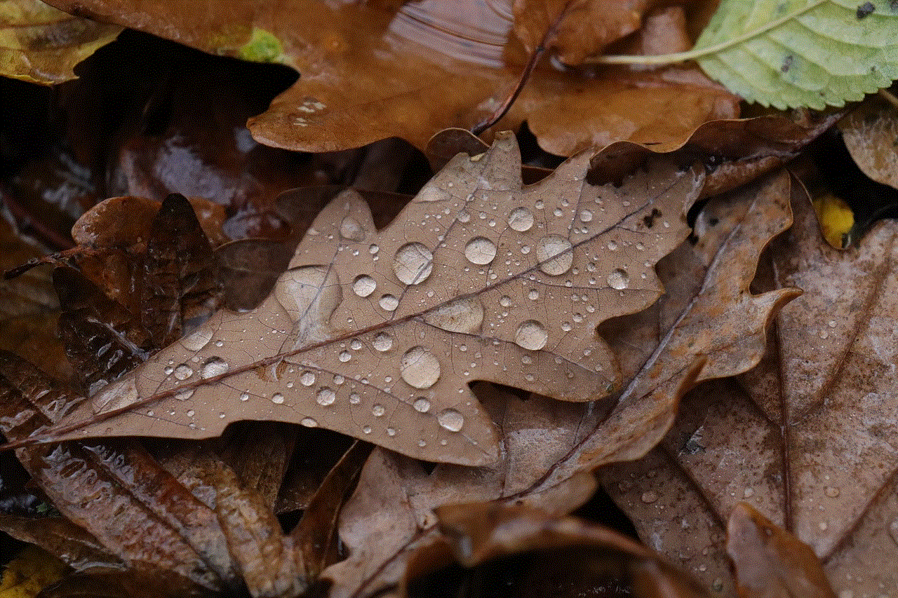 Leaves Nature