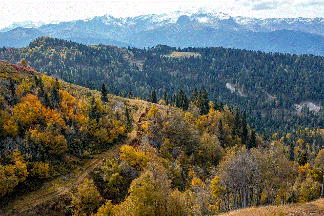 Mountains Forest