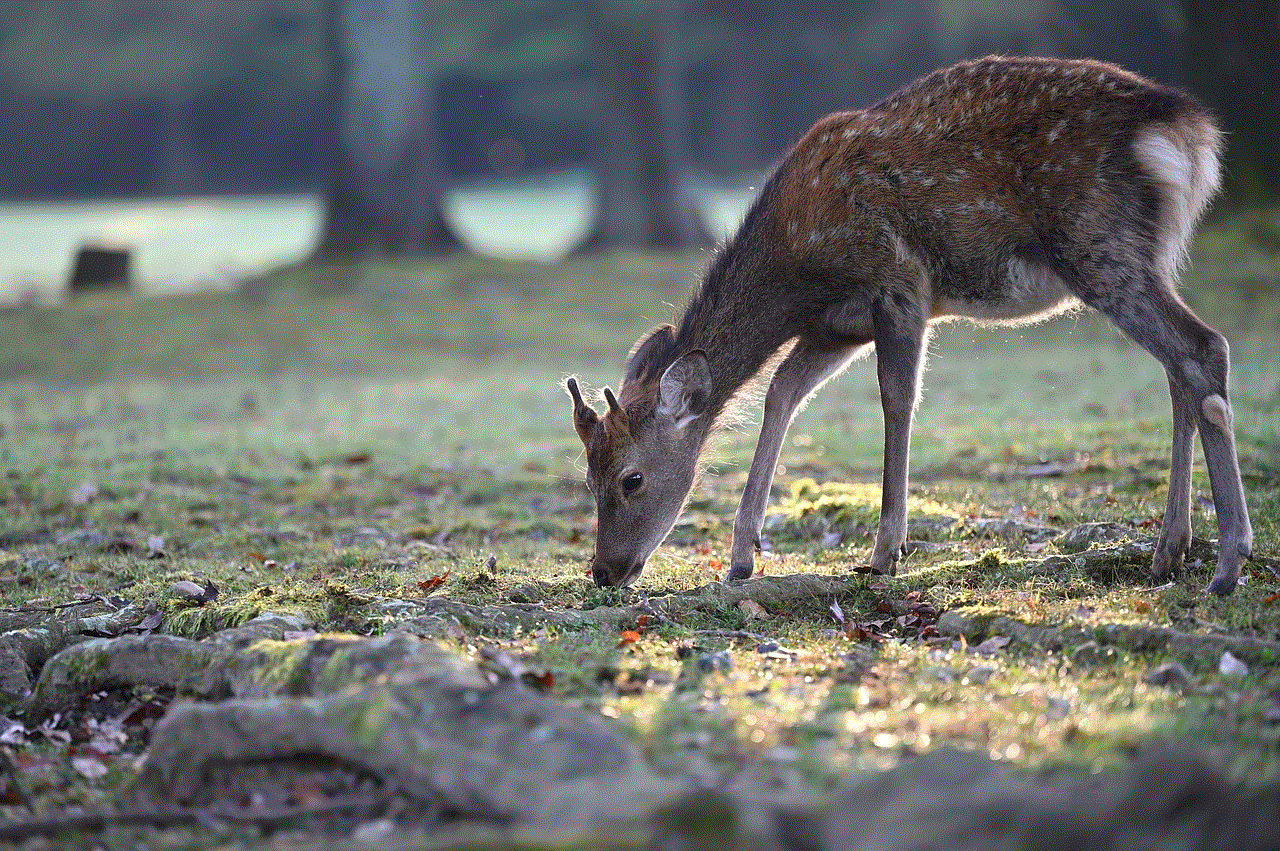 Animal Nature