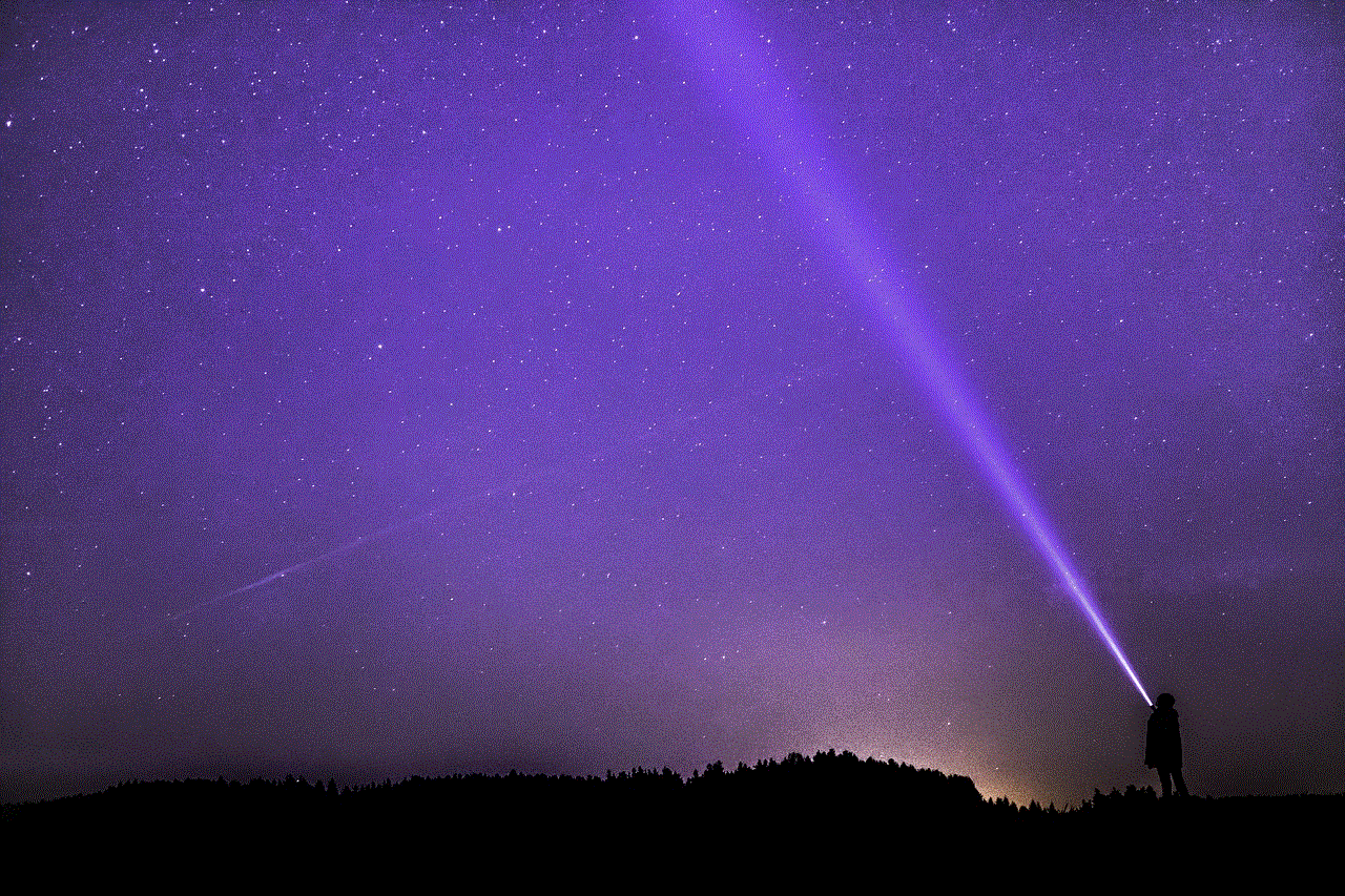 Night Photograph Flashlight