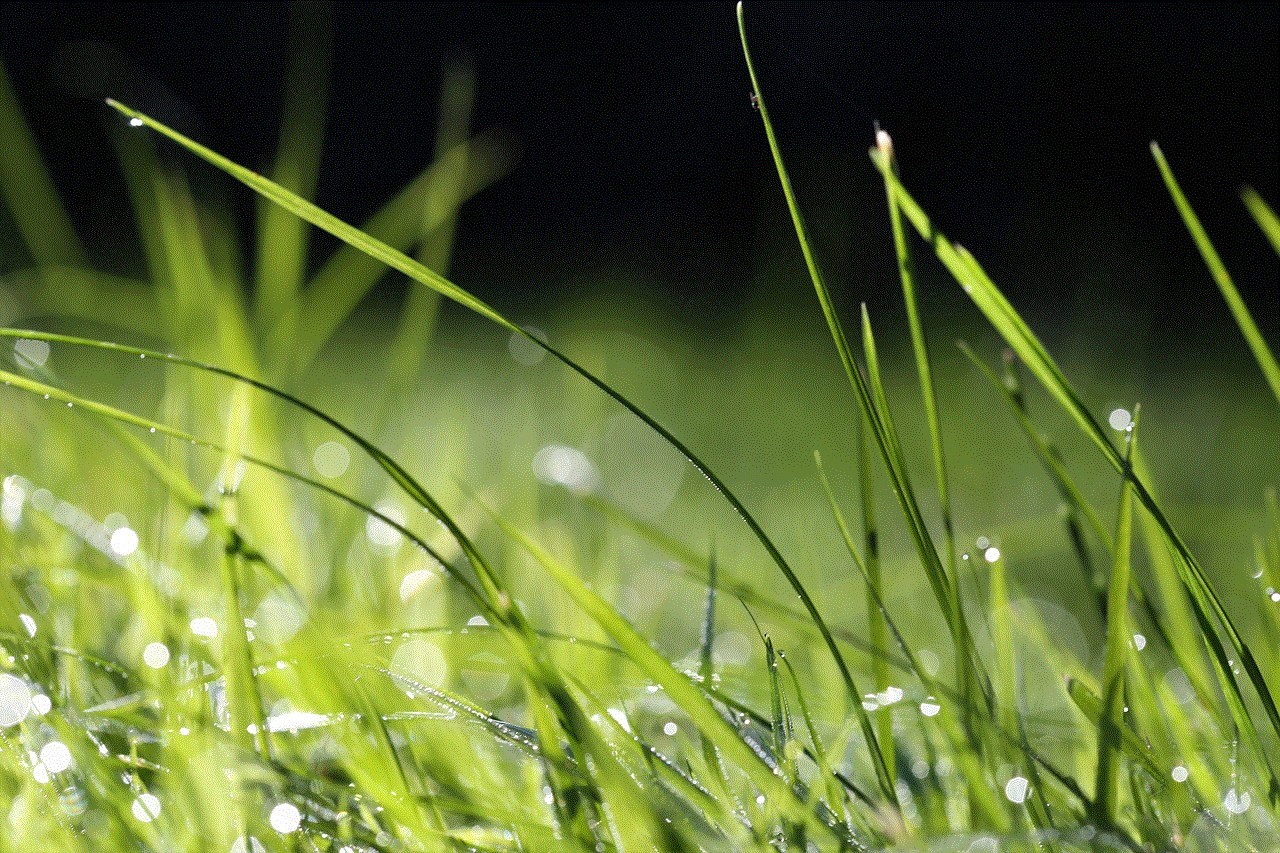 Grass Dewdrop