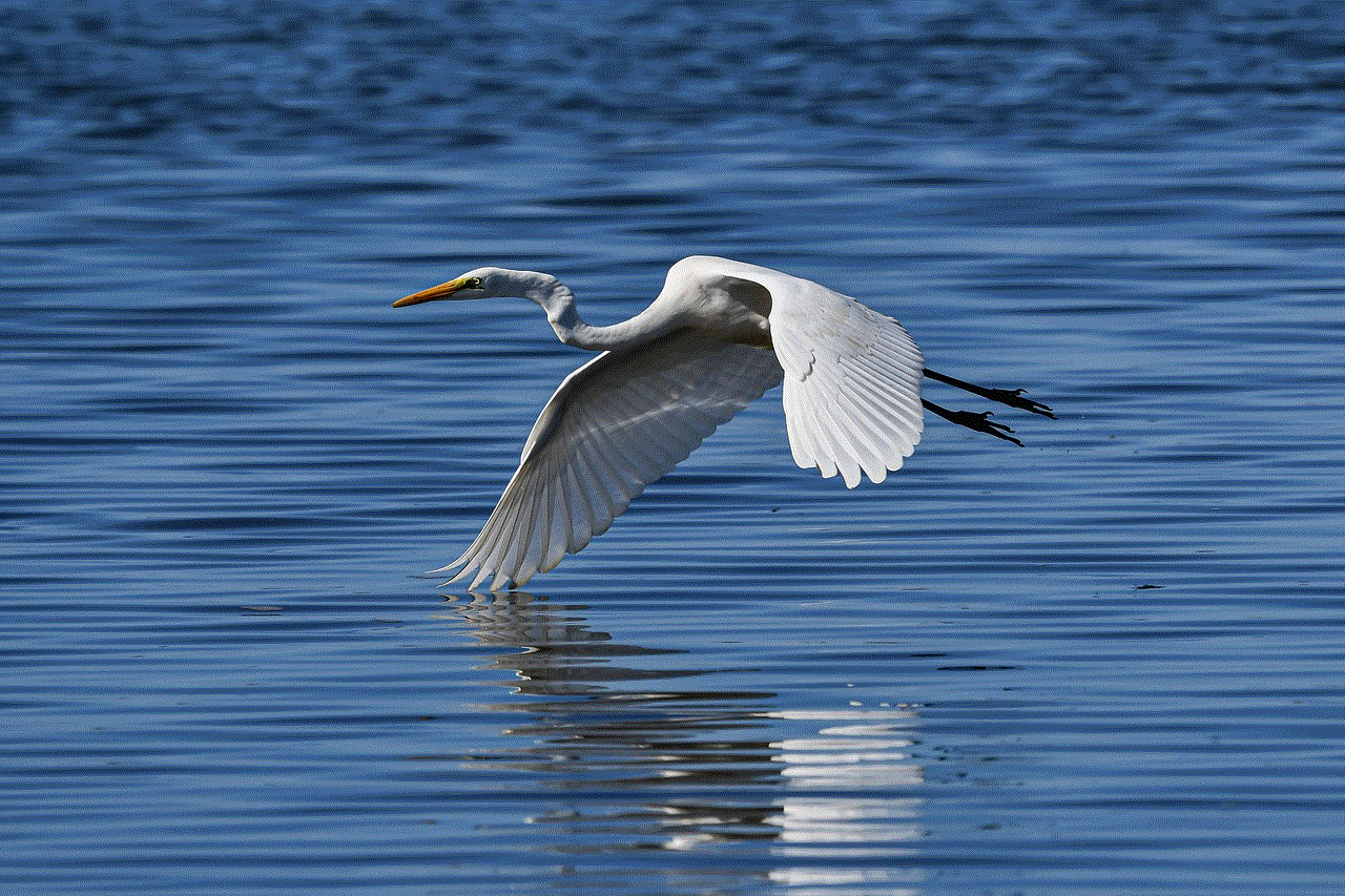 Heron Great Egret