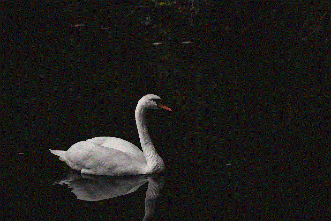 Swan Bird